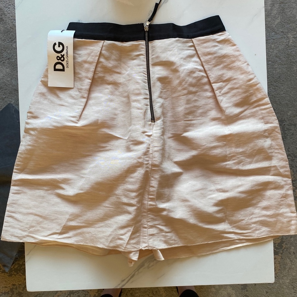 Dolce & Gabbana skirt (small/40)